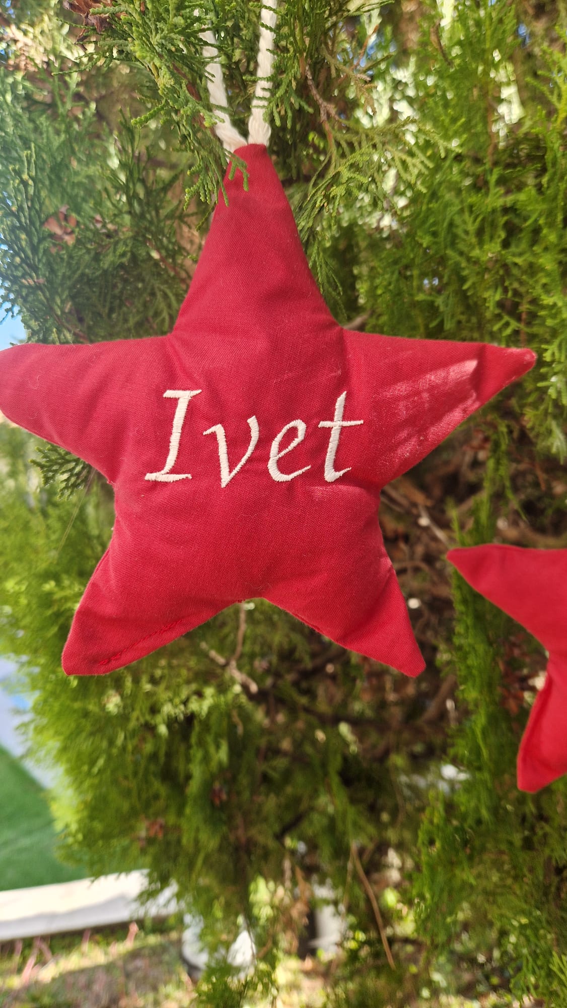 Estrella navidad