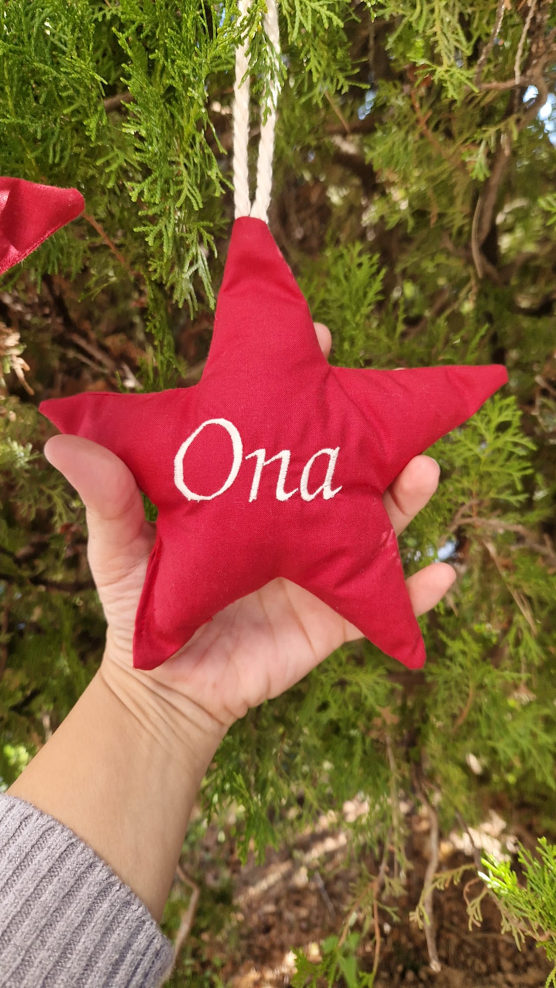 Estrella navidad