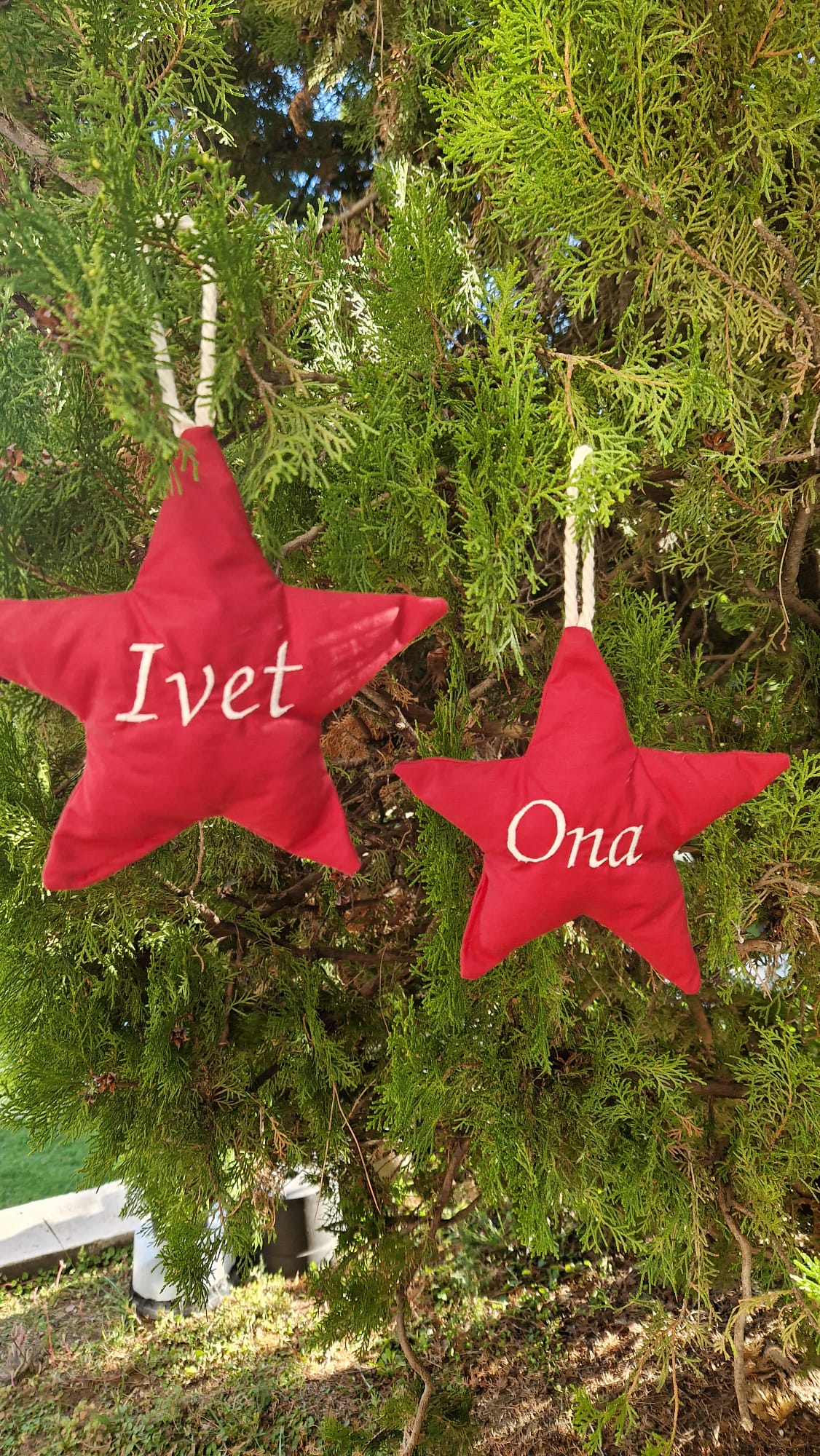 Estrella navidad